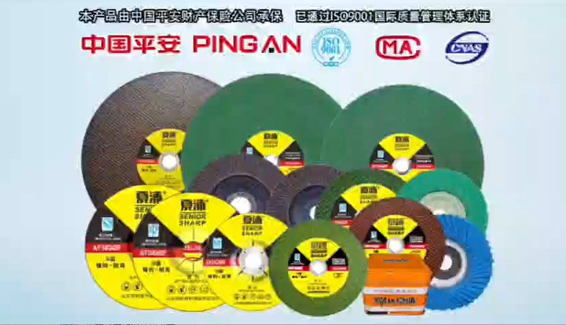 Company Introduction